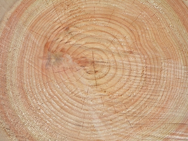 楽天 檜 すのこベッド 国産