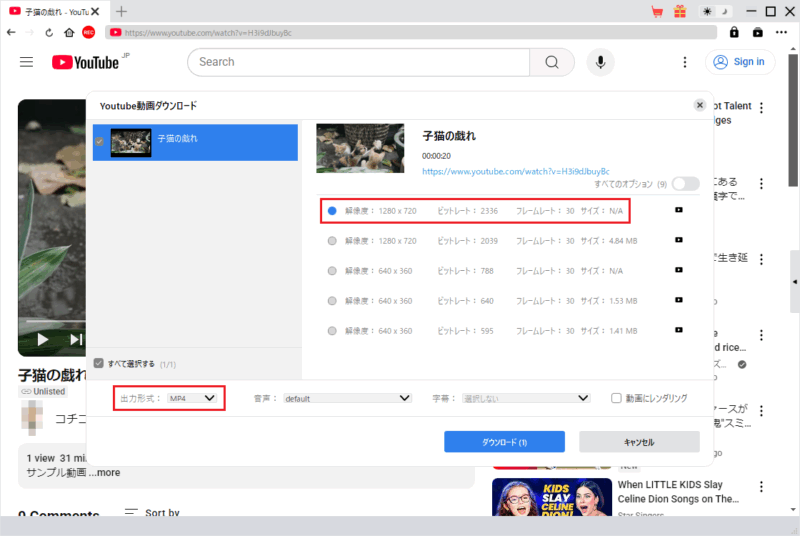 CleverGet YouTube 動画ダウンロード