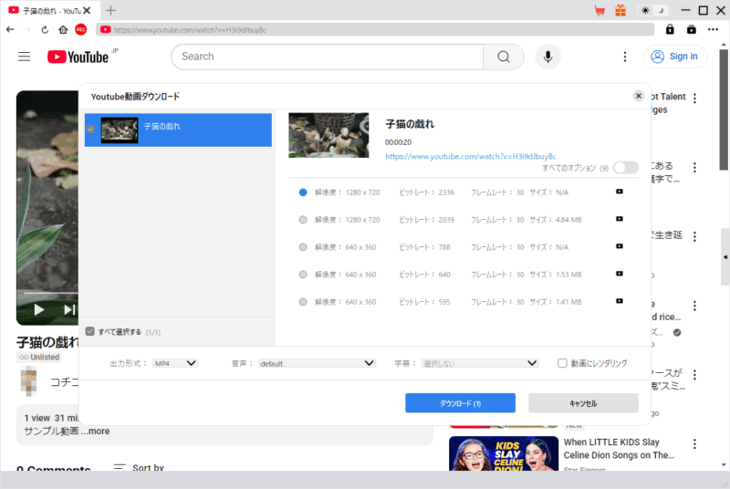 CleverGet YouTube 動画ダウンロード