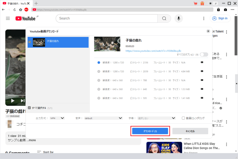 CleverGet YouTube 動画ダウンロード
