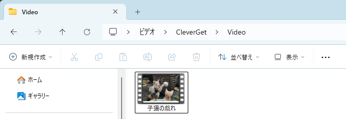 CleverGet YouTube 動画ダウンロード